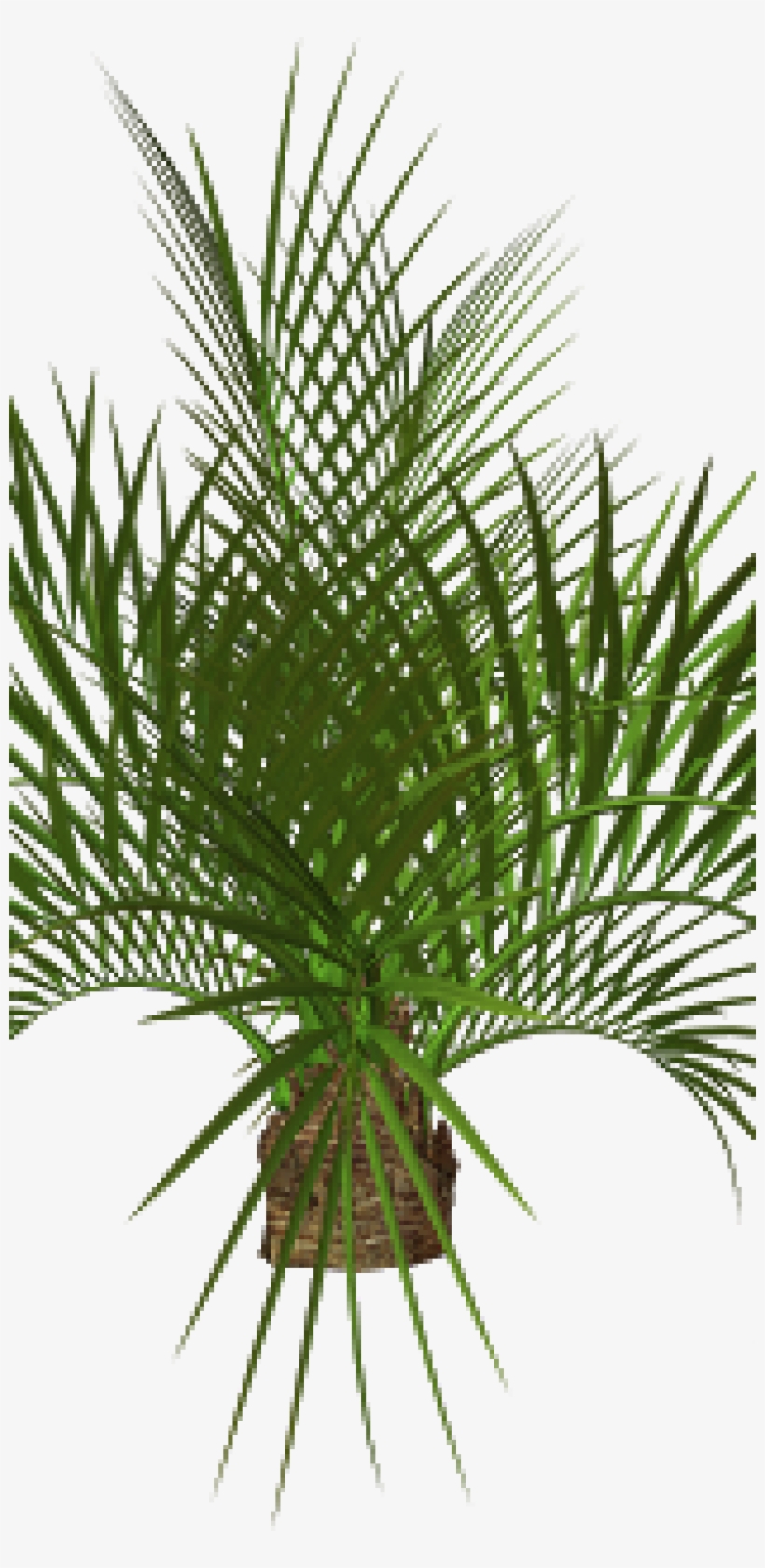 You've Found Bastian Public Relations - Tree Png Image Hd, transparent png download