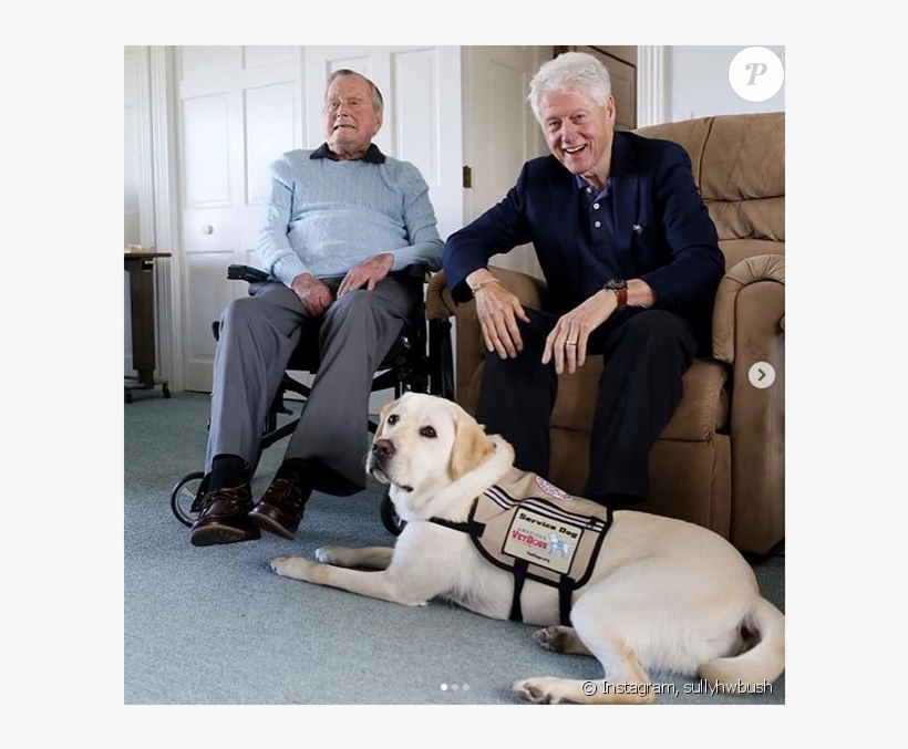Sully, Le Fidèle Compagnon De George H - George Hw Bush And Service Dog, transparent png download