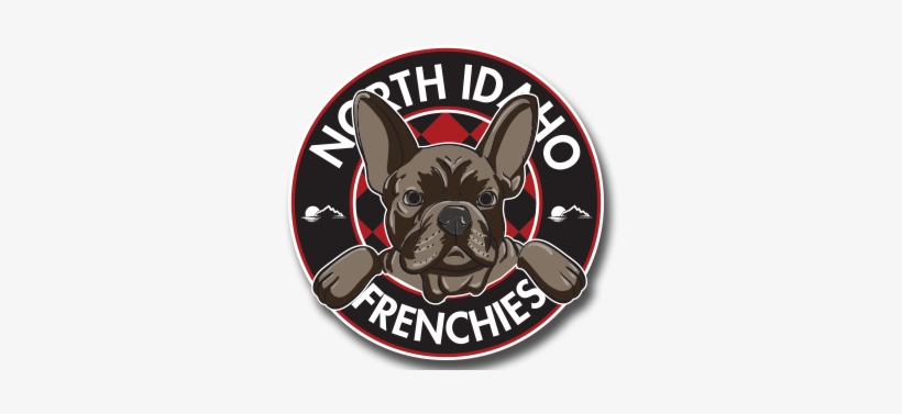 French Bulldog, transparent png download