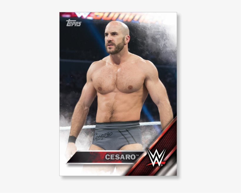 Gallery - Wwe 2k, transparent png download