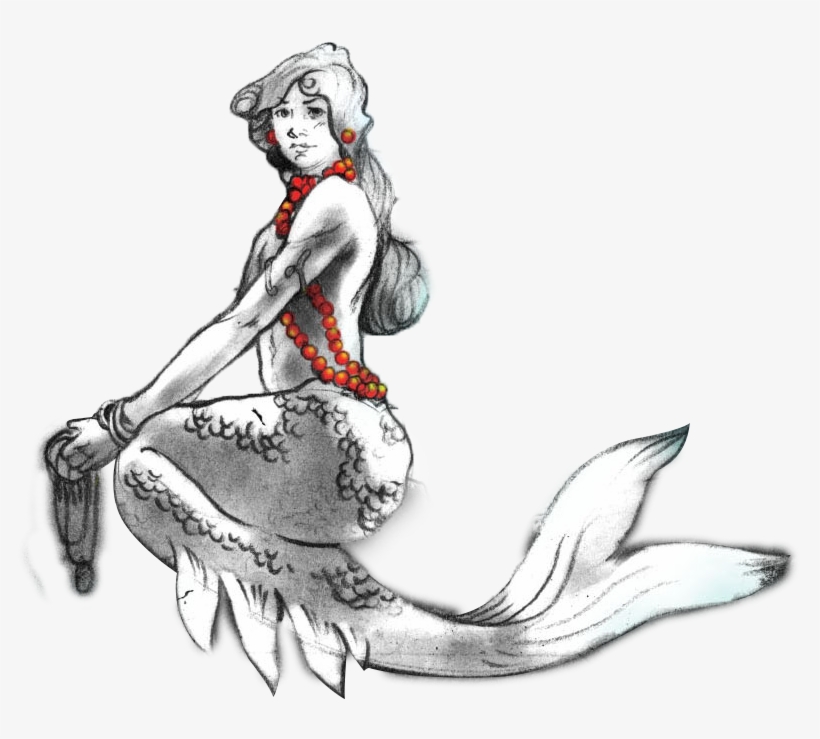 Sketch, transparent png download