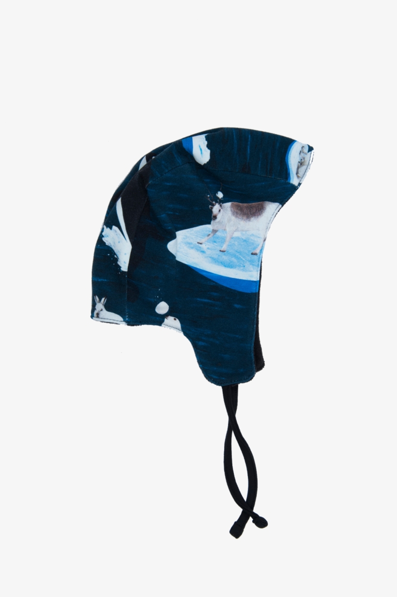 #b1061-ag - Winter Hat - Illustration, transparent png download