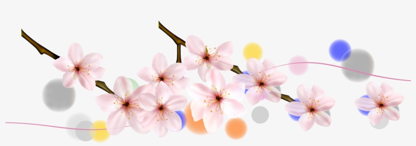 Cherry Blossom Petal Flower - Cherry Blossom, transparent png download