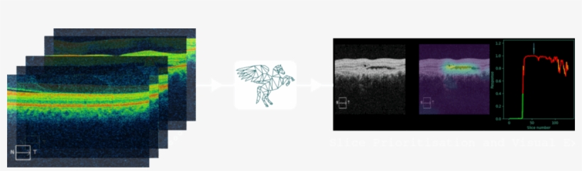 Visulytix - Pegasus Dr - Pegasus Visulytix, transparent png download