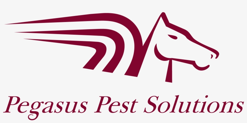 Horse, transparent png download