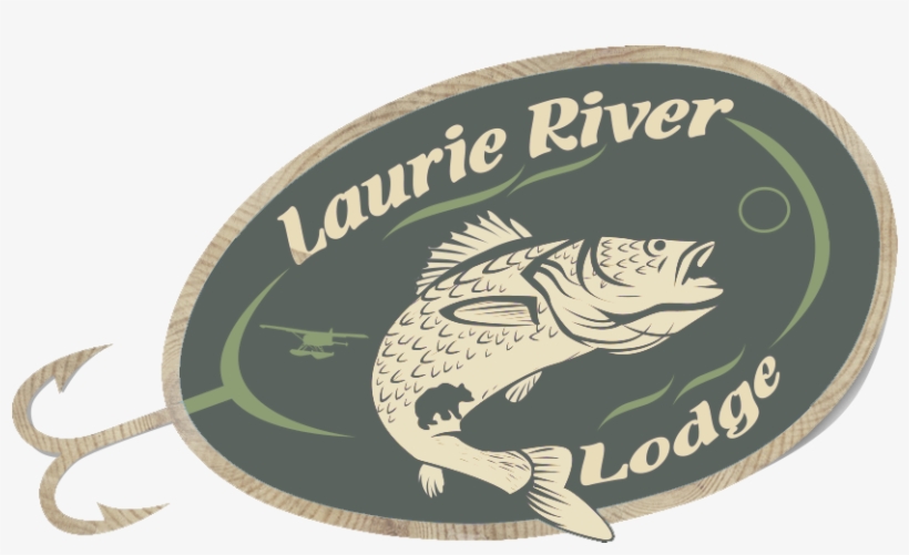 About - Trout, transparent png download