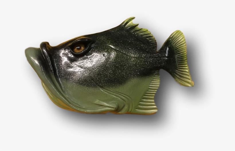 Shop - Bass, transparent png download