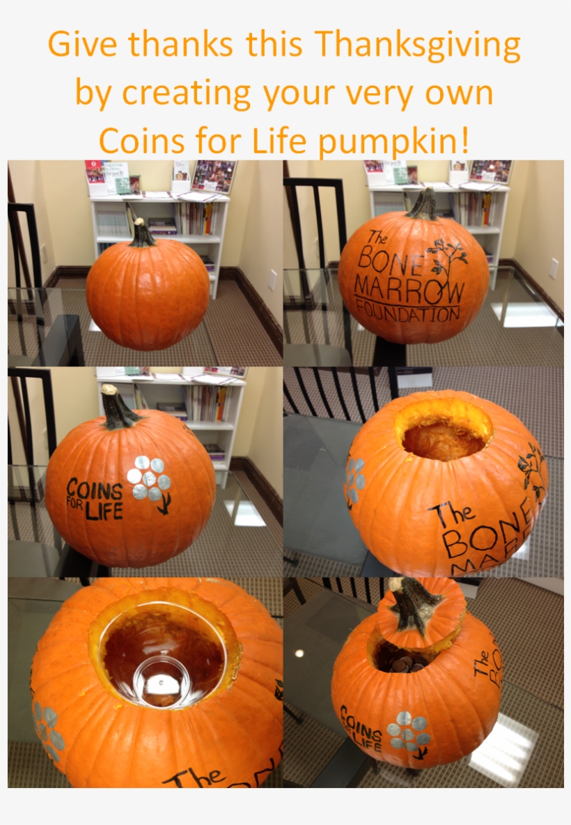 Coins For Life Pumpkin - Strategic Planning Model, transparent png download