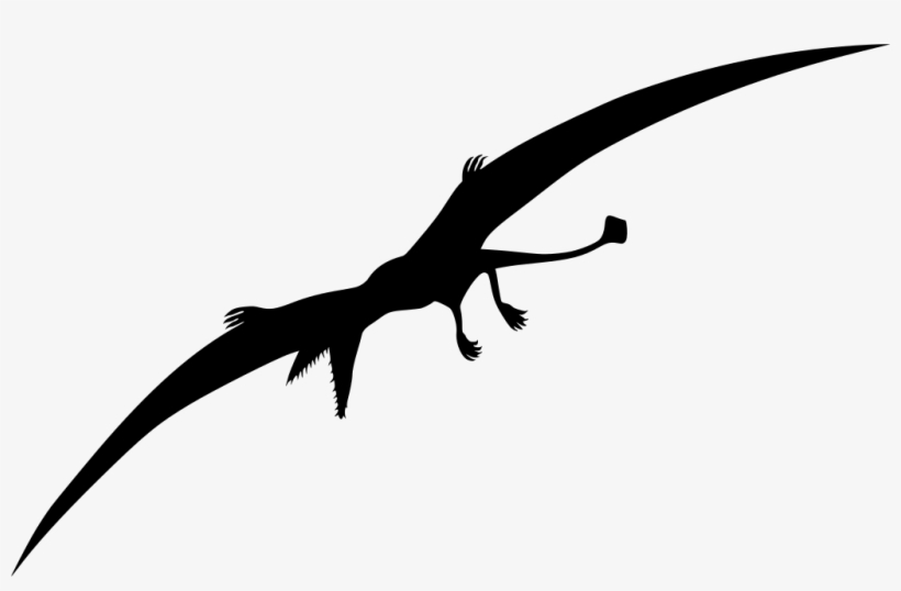 1024 X 622 2 - Dinosaur, transparent png download