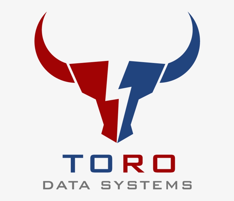 What Is Toro Data Systems - Graphic Design, transparent png download