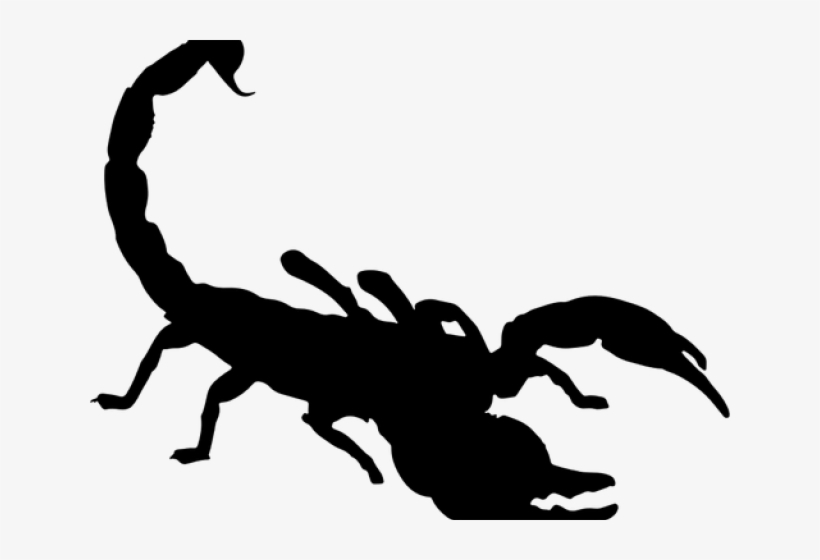 Scorpion Clipart Cheerleader - Scorpion Silhouette Png, transparent png download