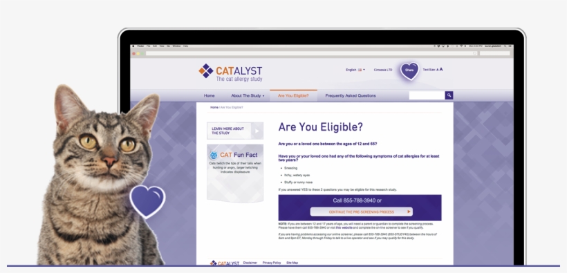 The Tactics Included Two Different Digital Campaigns - Domestic Short-haired Cat, transparent png download