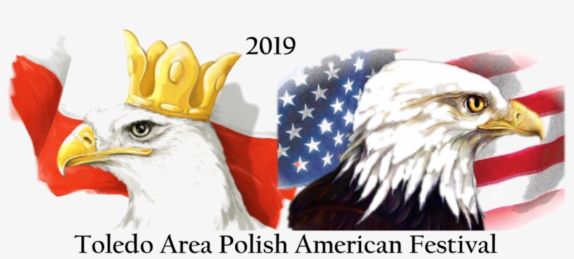 Festival Logo - American Flag, transparent png download