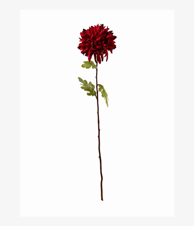 Red Chrysanthemum Artificial - Dahlia, transparent png download