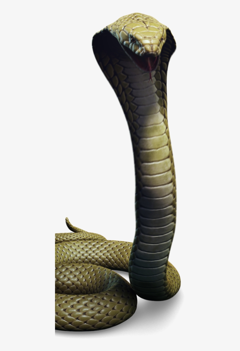 Click To Preview - King Cobra, transparent png download