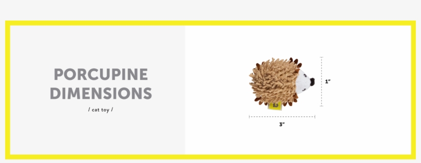 Dimensions Porcupine For Cats English - Graphic Design, transparent png download