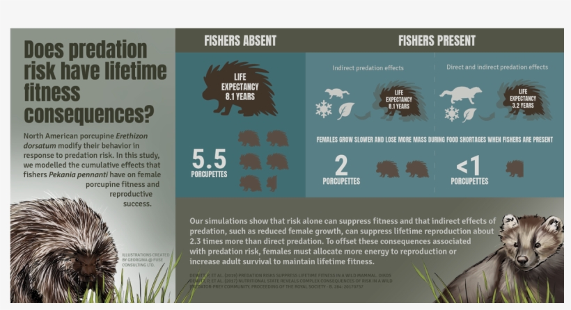 Early View Available Here - Online Advertising, transparent png download