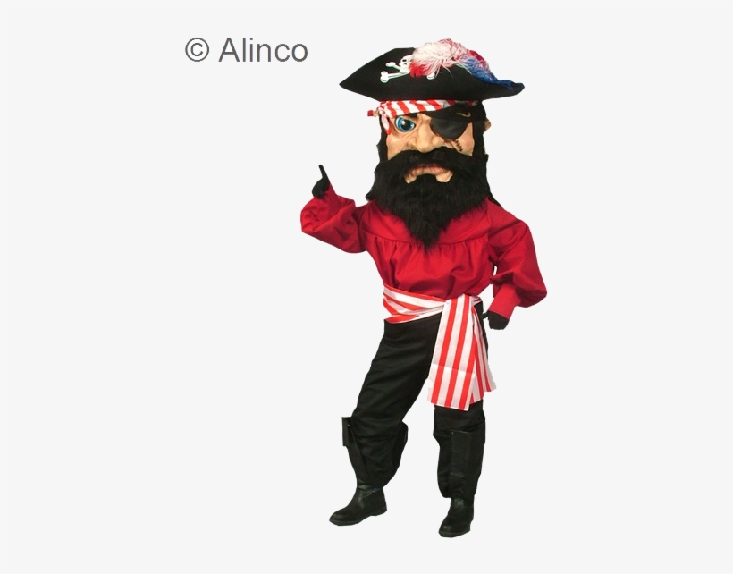 Pirate Mascot Costume, transparent png download