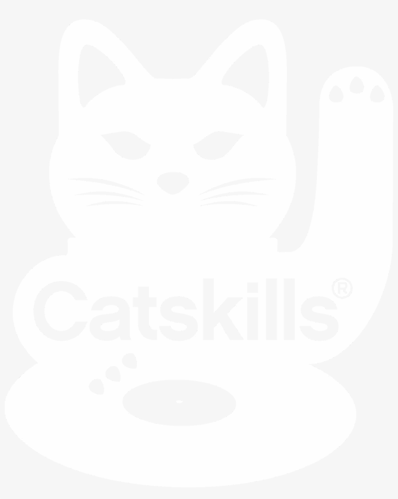 Pepe Deluxé Soundtrack Angry Birds Go Game - Domestic Short-haired Cat, transparent png download