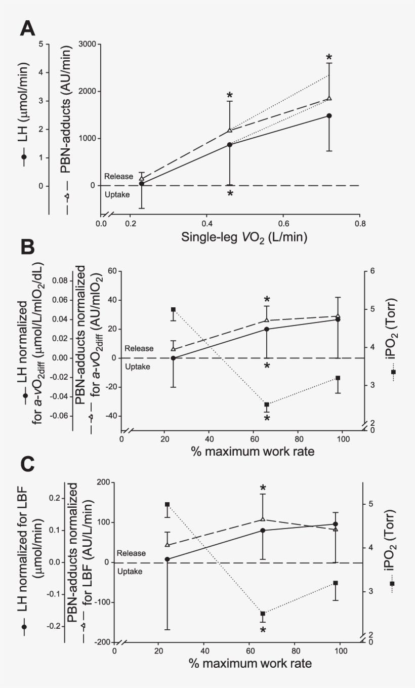 Image Freeuse A Effects Of Incremental Exercise On - Diagram, transparent png download