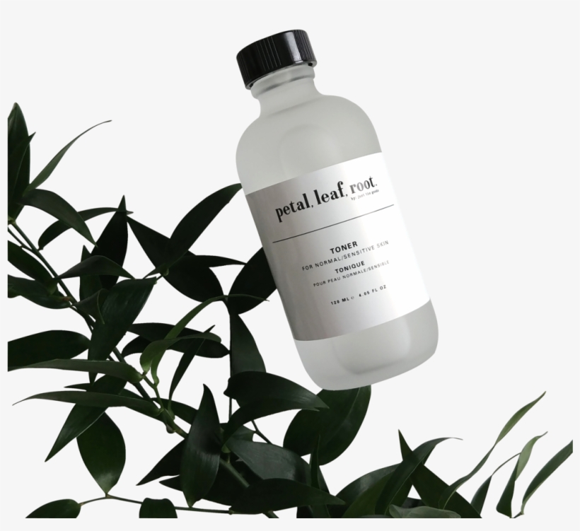 Petal, Leaf, Root - Plastic Bottle, transparent png download