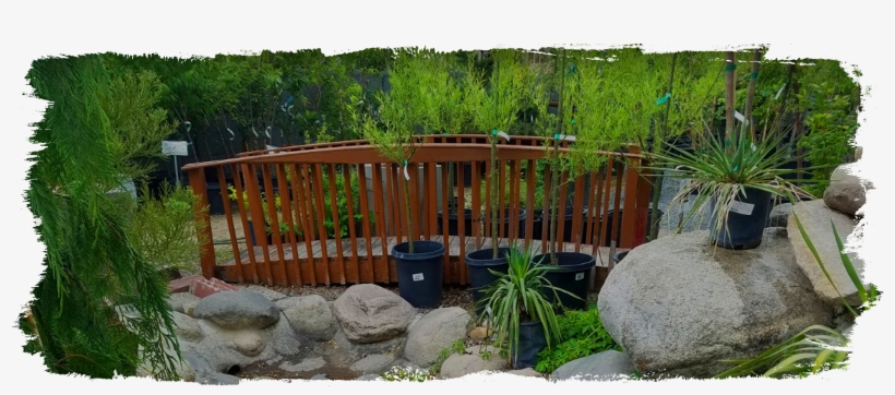 Visit Our Nursery - Picket Fence, transparent png download