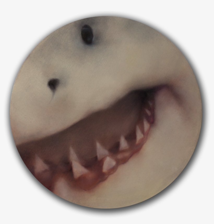 Malevolent Waters - Great White Shark, transparent png download