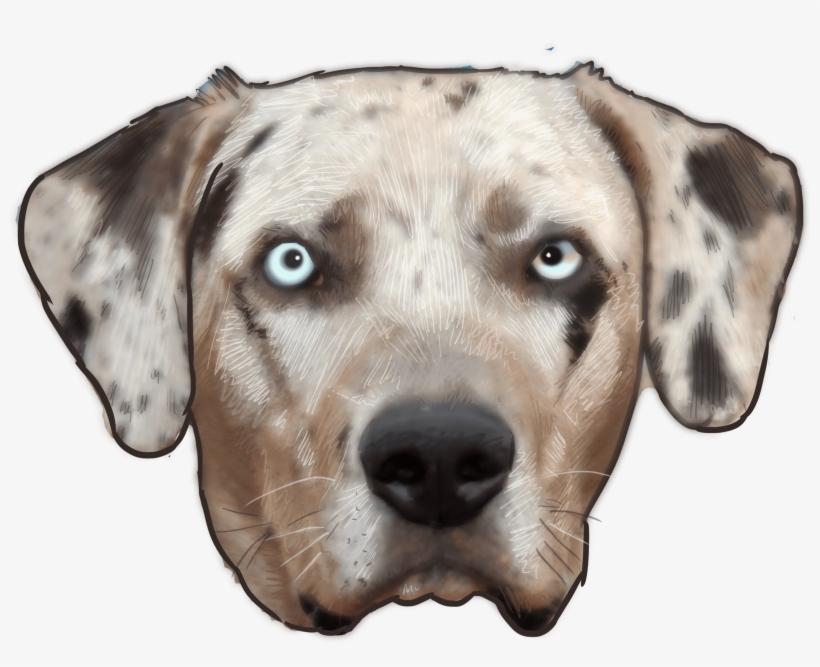 This Week On “why Are You A Dog” The Show Gets Real - Dalmatian, transparent png download
