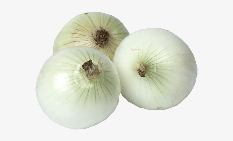 Elephant Garlic, transparent png download