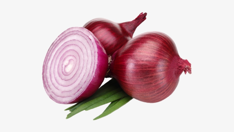 Onions Red - Red Onions, transparent png download