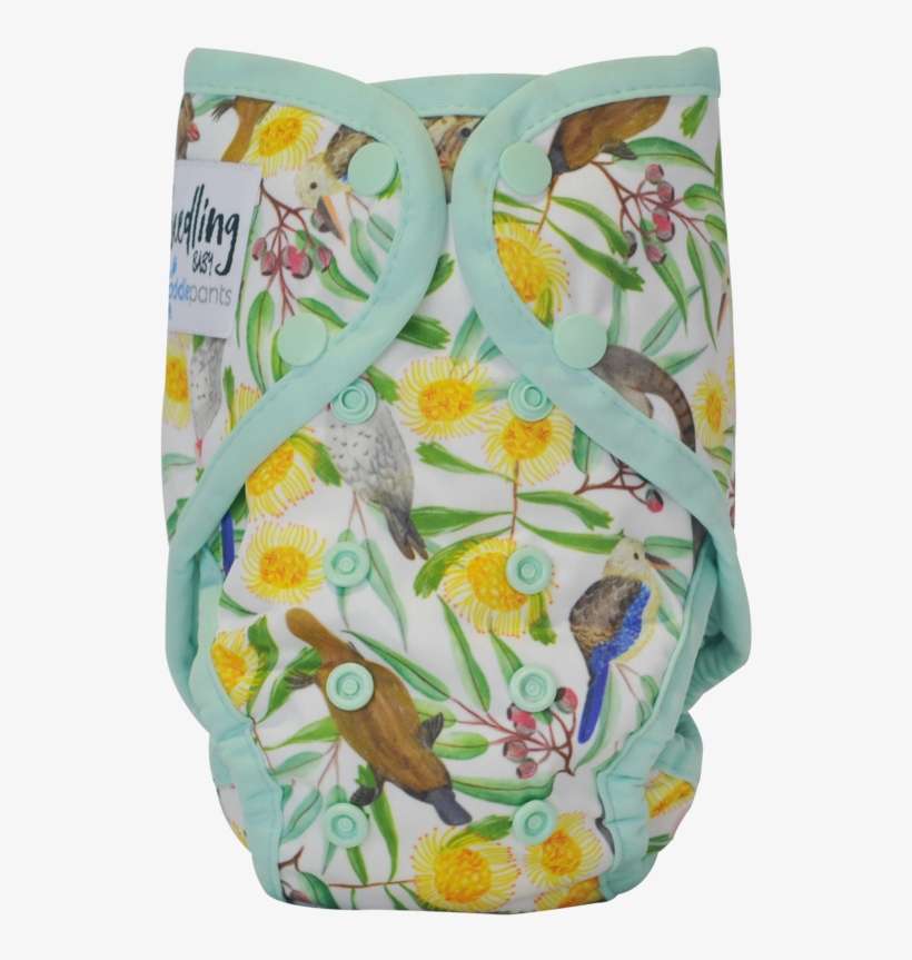 Seedling Paddle Pants - Paddle Pants By Seedling Baby, transparent png download