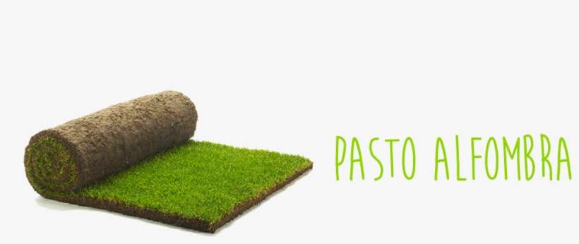 Rápido Y Fácil De Instalar - Lawn, transparent png download