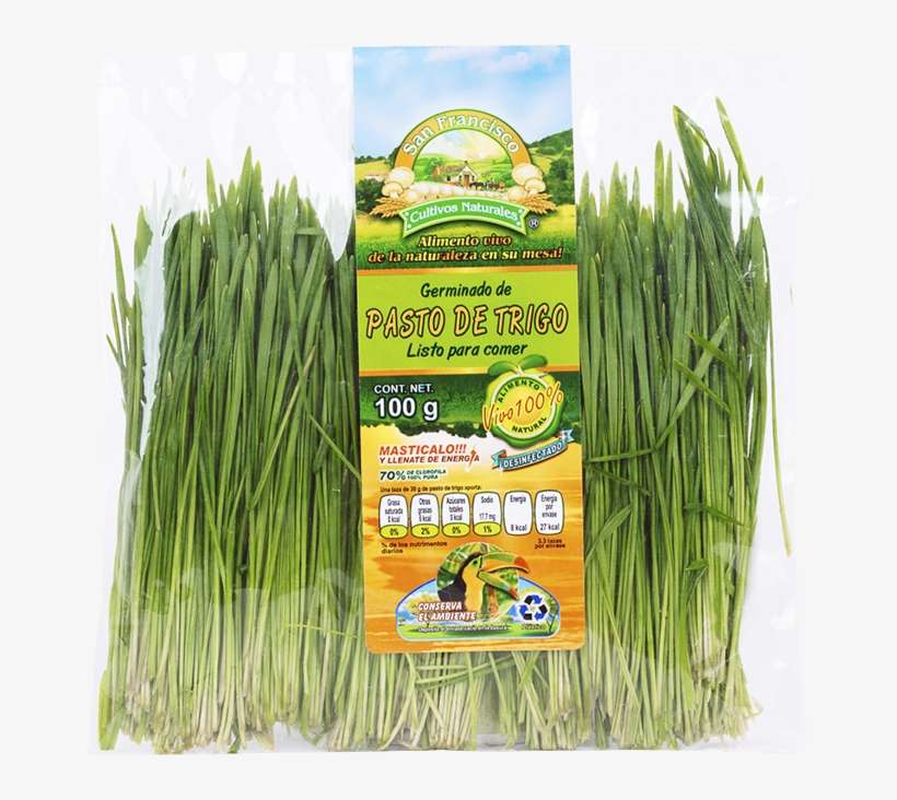 Minerales, Enzimas, Libre De Colesterol Y Con Más Contenido - Chives, transparent png download