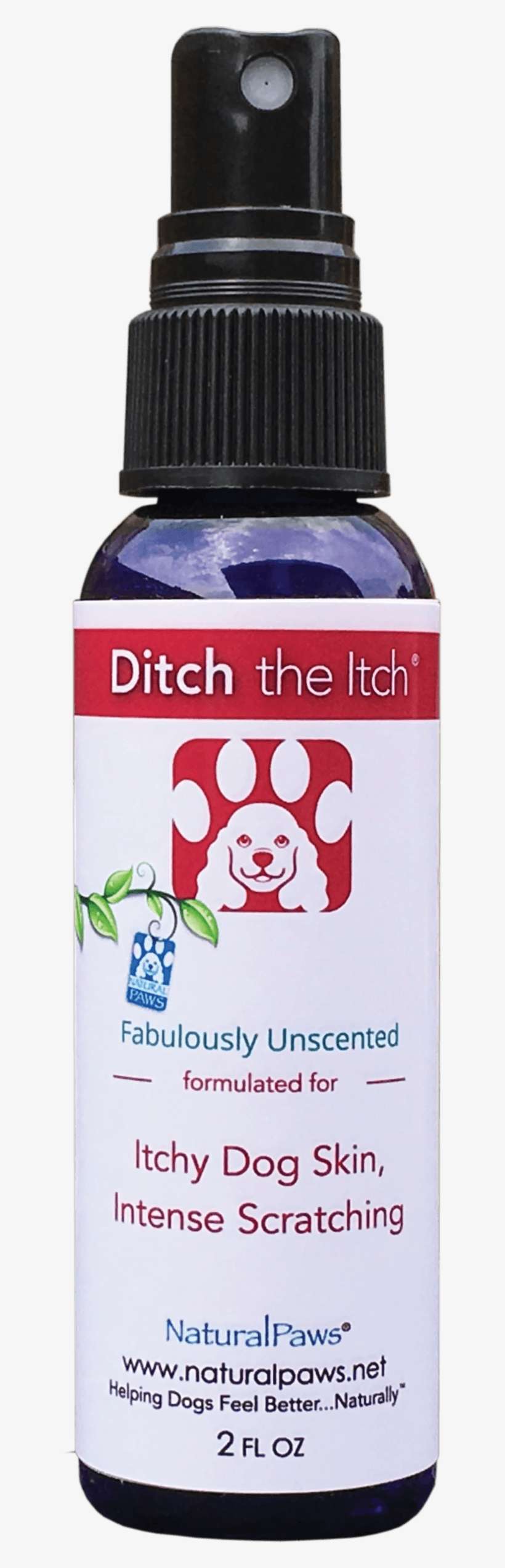 Customer Favorites - Dog, transparent png download