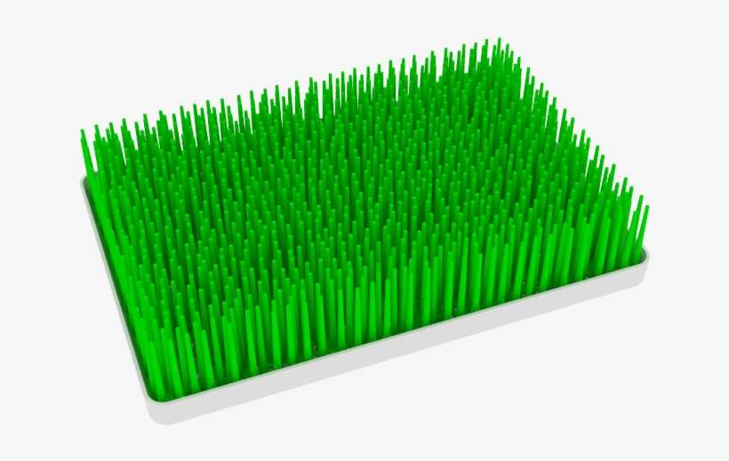 Grass, transparent png download