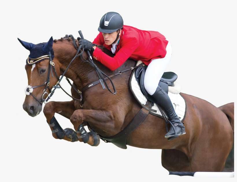 Live Show Jumping Hosted By Budapest, - Show Jumping, transparent png download