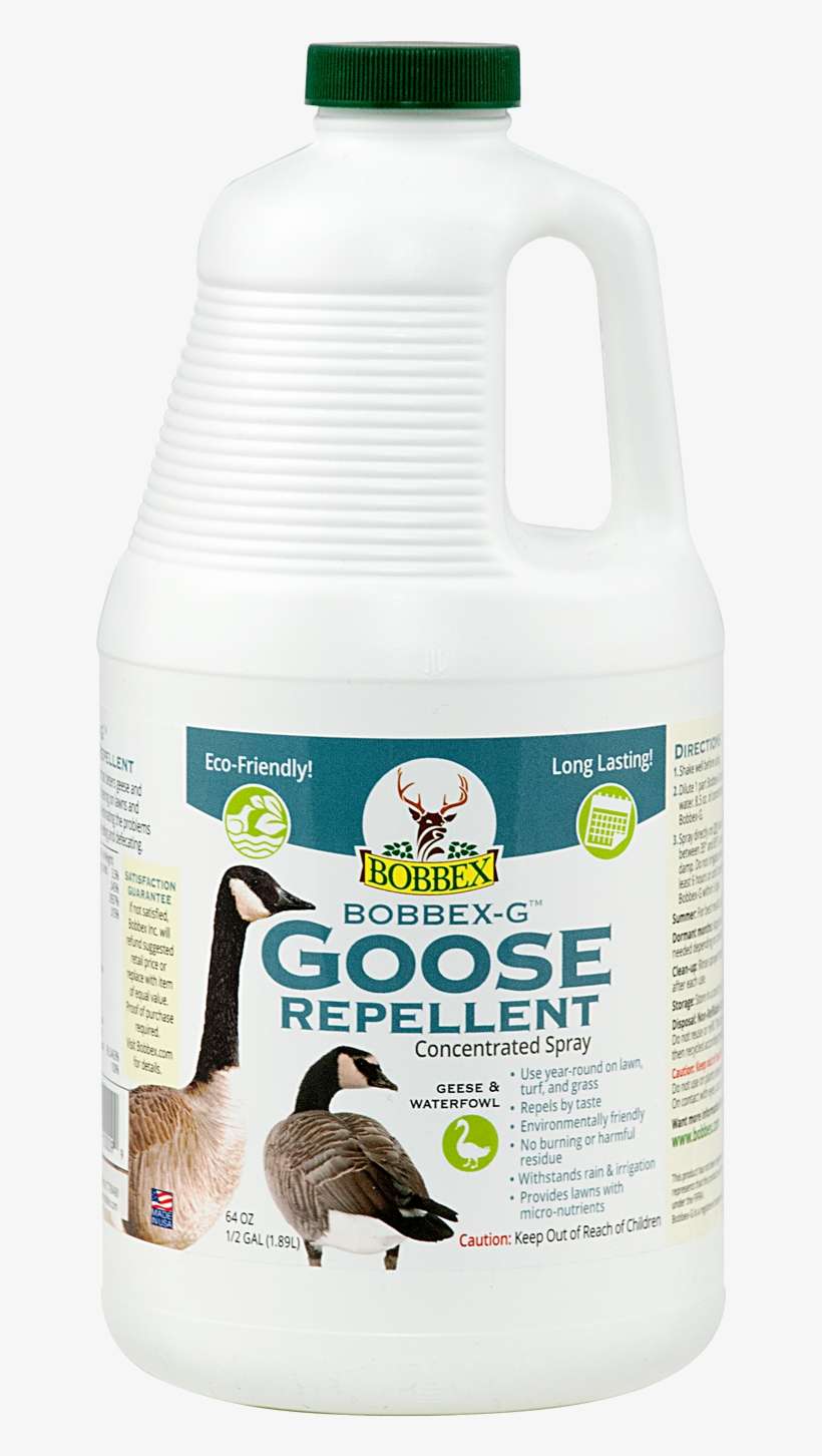 Bobbex-g - Goat, transparent png download