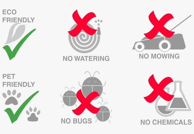 How Long Does Artificial Turf Last Graphic Design PNG Image