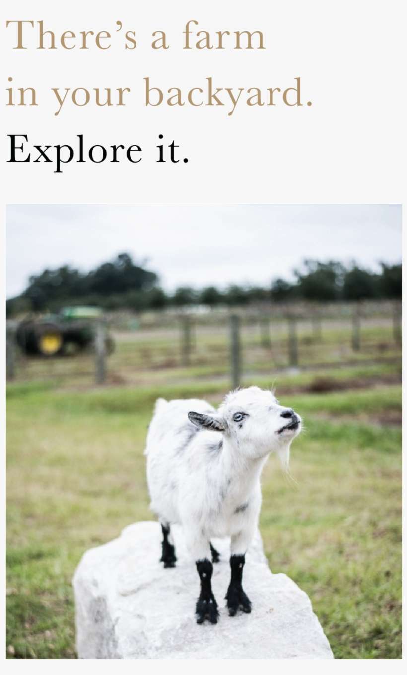 We're The Only Rice Farm In Florida That Mills Its, transparent png download