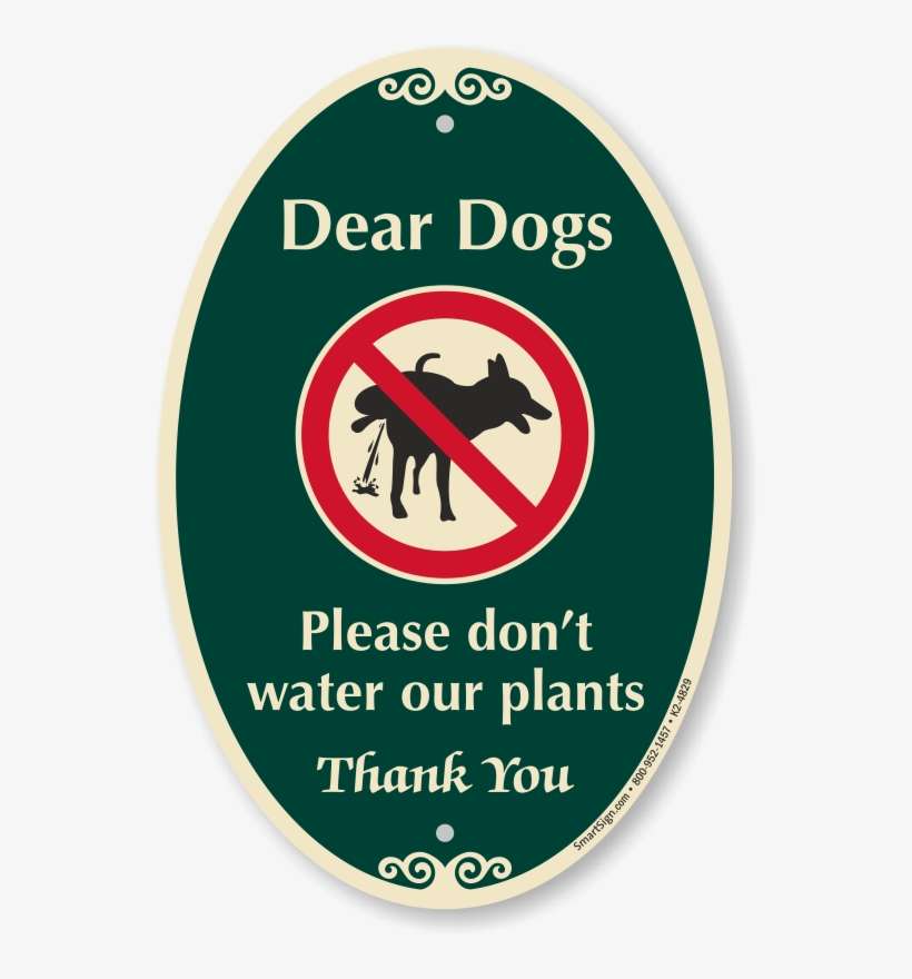 Dear Dogs, Please Don't Water Our Plants - Please Don T Water Our Plants, transparent png download