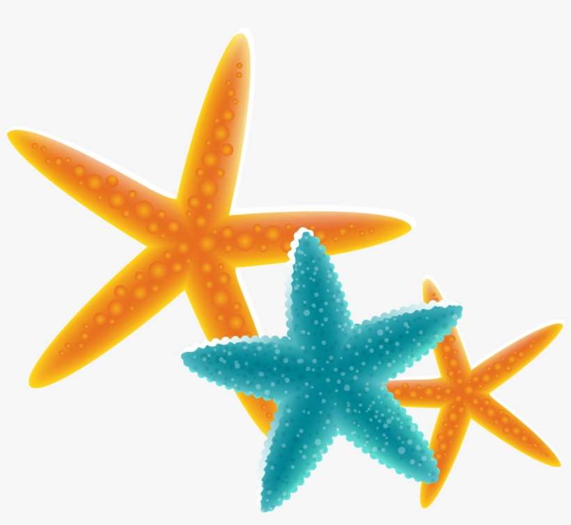 Starfish Free Content Clip Art - Starfish, transparent png download