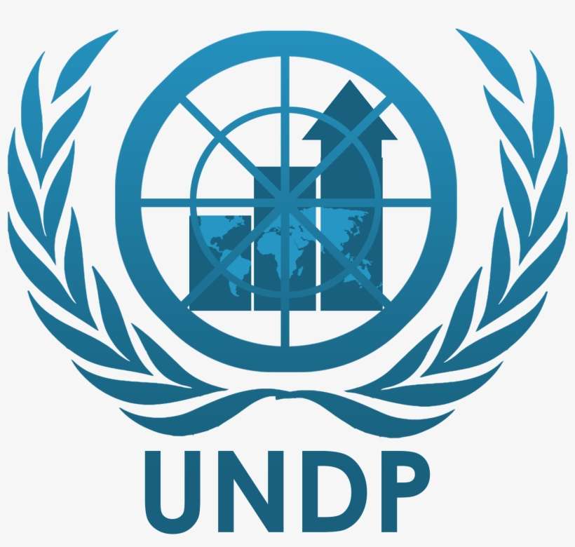 Looking For Ngo Jobs Apply For These Brand New Opportunities - Human Rights Day Logo, transparent png download