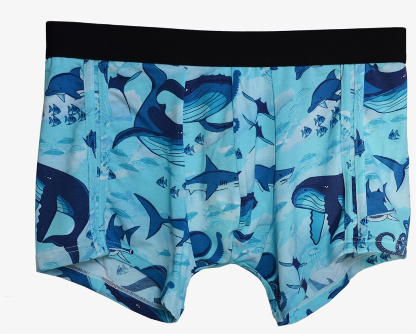 Comfortable - Board Short, transparent png download