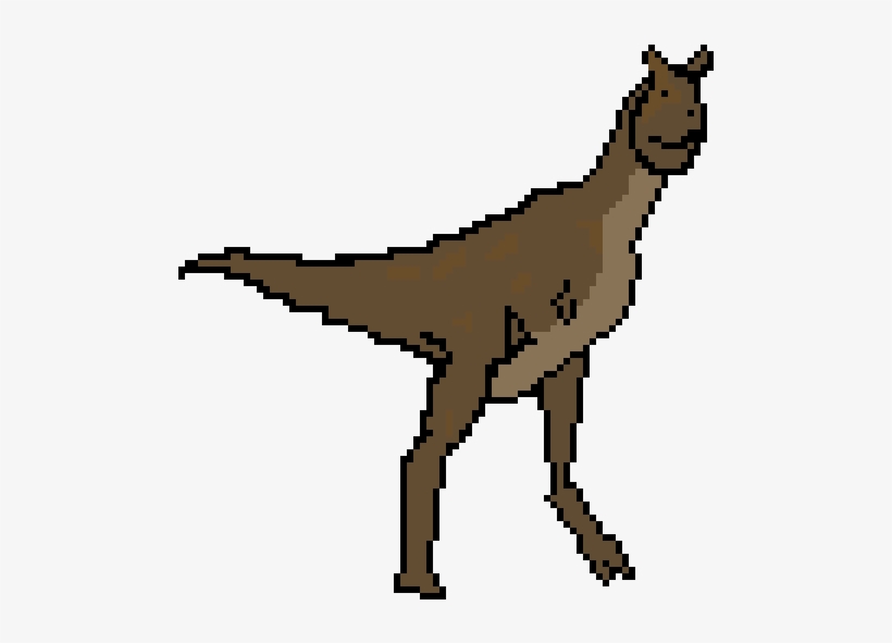 Random Image From User - Puma, transparent png download