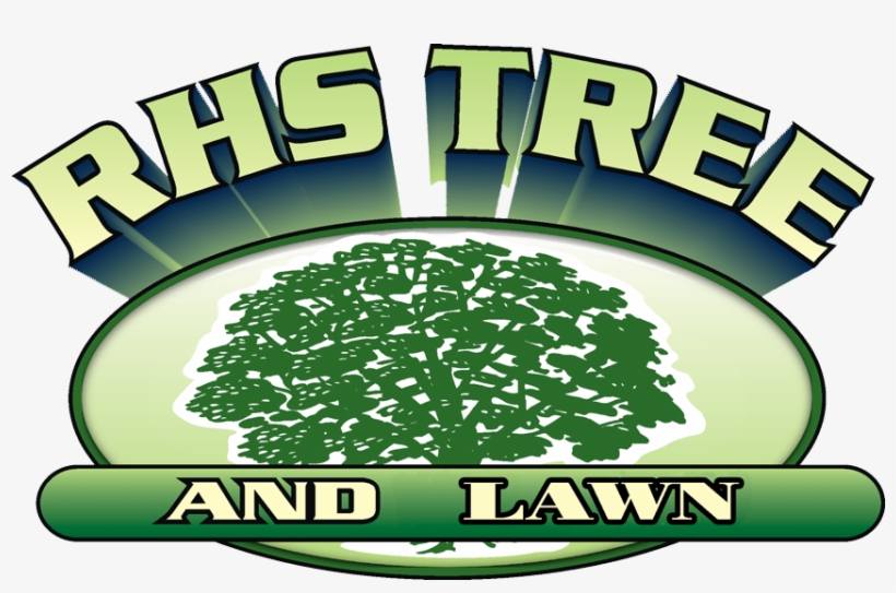 Cropped Rhs Tree Lawn Web - Illustration, transparent png download
