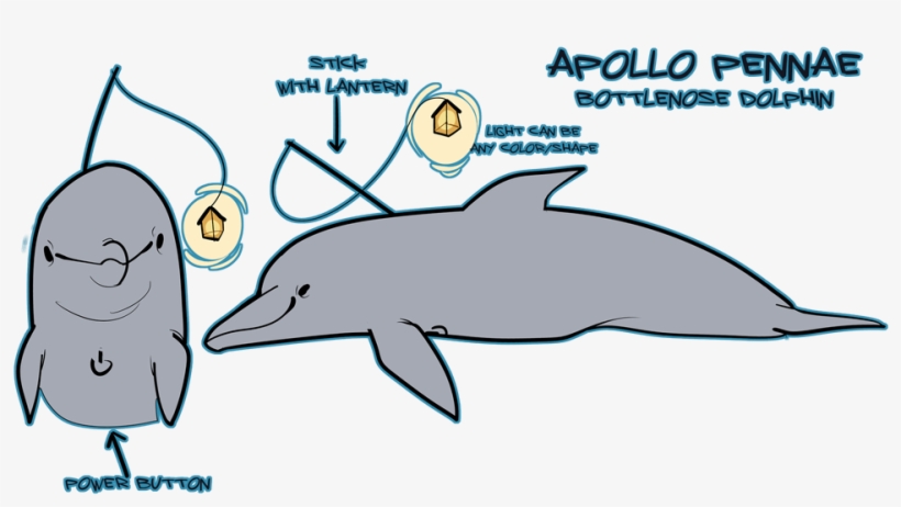 1024 X 548 2 - Whale, transparent png download