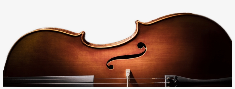 Musical Instruments In Batavia Chicago Elgin Naperville - Double Bass, transparent png download