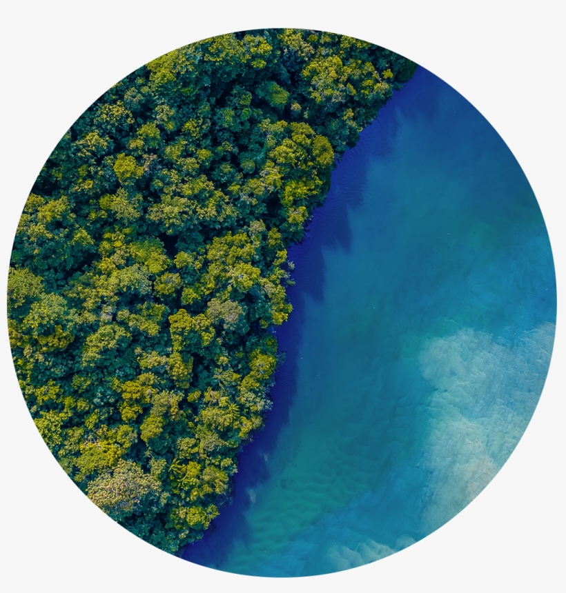 Every Single Minute The Equivalent Of One Dump Truck - Circle, transparent png download