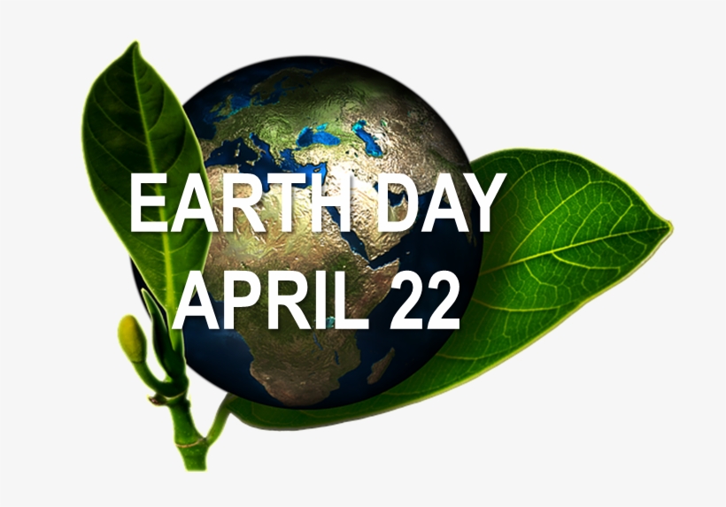 There Are So Many Things You Can Do To Embrace A 'greener' - Graphic Design, transparent png download