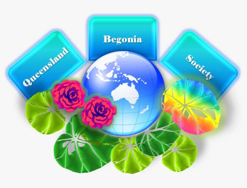 Queensland Begonia Society On Earth Day - Graphic Design, transparent png download